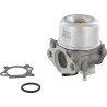 Carburateur BRIGGS ET STRATTON 799869