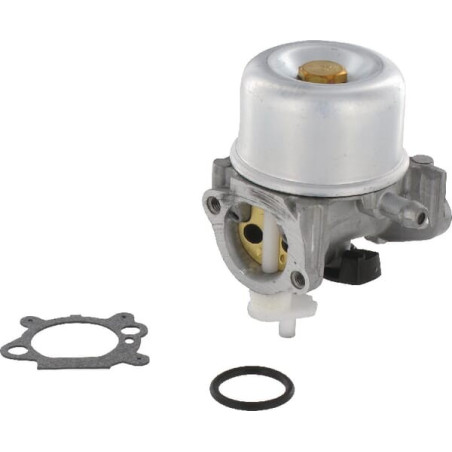 Carburateur BRIGGS ET STRATTON 799869