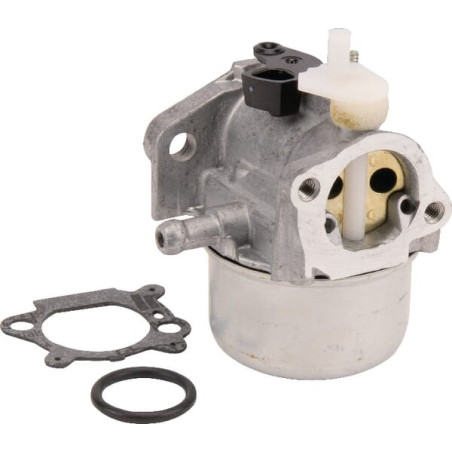 Carburateur BRIGGS ET STRATTON 799869