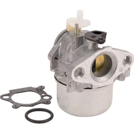 Carburateur BRIGGS ET STRATTON 799869