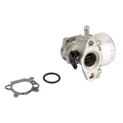 Carburateur BRIGGS ET STRATTON 799868