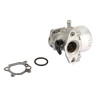 Carburateur BRIGGS ET STRATTON 799868