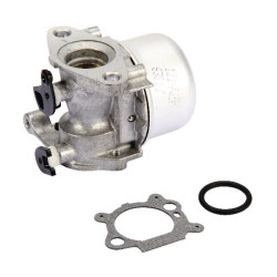 Carburateur BRIGGS ET STRATTON 799866
