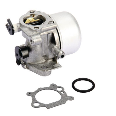 Carburateur BRIGGS ET STRATTON 799866