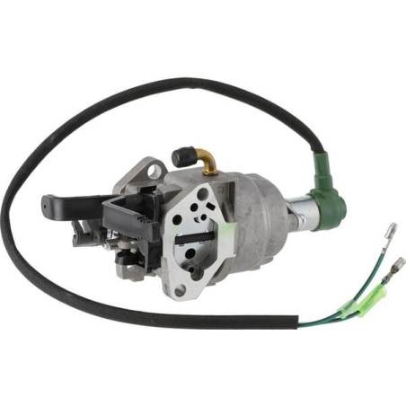 Carburateur BRIGGS ET STRATTON 799773