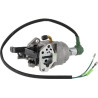 Carburateur BRIGGS ET STRATTON 799773