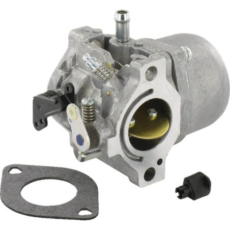 Carburateur BRIGGS ET STRATTON 799728