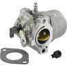 Carburateur BRIGGS ET STRATTON 799728