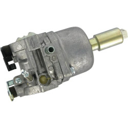 Carburateur BRIGGS ET STRATTON 799727