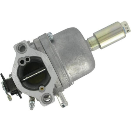 Carburateur BRIGGS ET STRATTON 799727