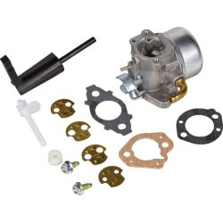 Carburateur BRIGGS ET STRATTON 798654