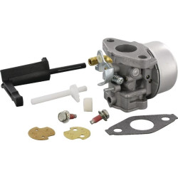 Carburateur BRIGGS ET STRATTON 798653
