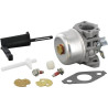 Carburateur BRIGGS ET STRATTON 798653