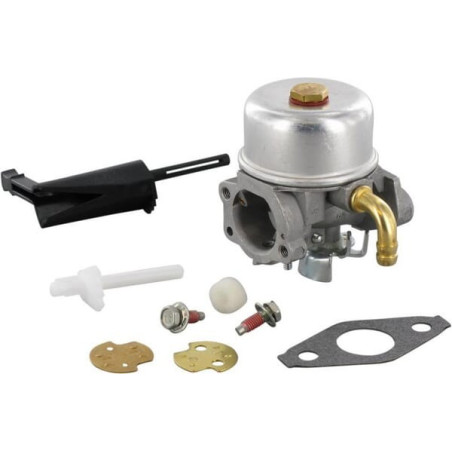 Carburateur BRIGGS ET STRATTON 798653
