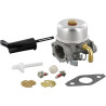 Carburateur BRIGGS ET STRATTON 798653