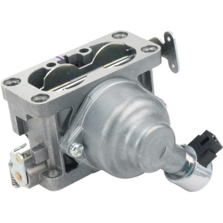 Carburateur BRIGGS ET STRATTON 796997