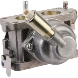 Carburateur BRIGGS ET STRATTON 796227