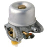 Carburateur BRIGGS ET STRATTON 790276
