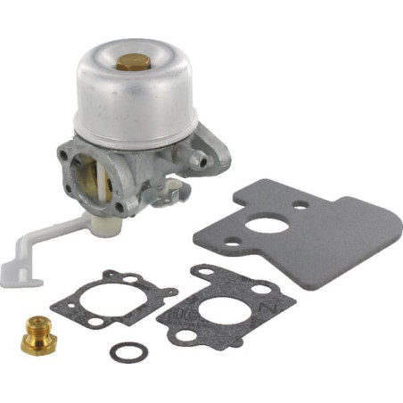 Carburateur BRIGGS ET STRATTON 698055