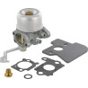 Carburateur BRIGGS ET STRATTON 698055