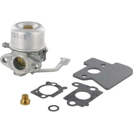 Carburateur BRIGGS ET STRATTON 698055