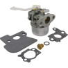 Carburateur BRIGGS ET STRATTON 694203