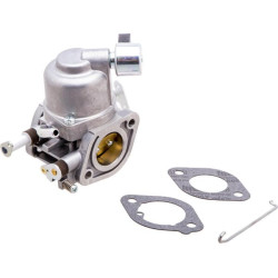 Carburateur BRIGGS ET STRATTON 597126