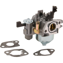 Carburateur BRIGGS ET STRATTON 596079