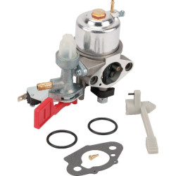 Carburateur BRIGGS ET STRATTON 595318