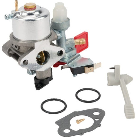Carburateur BRIGGS ET STRATTON 595318