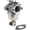Carburateur BRIGGS ET STRATTON 594601WM