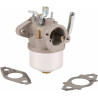 Carburateur BRIGGS ET STRATTON 594015WM