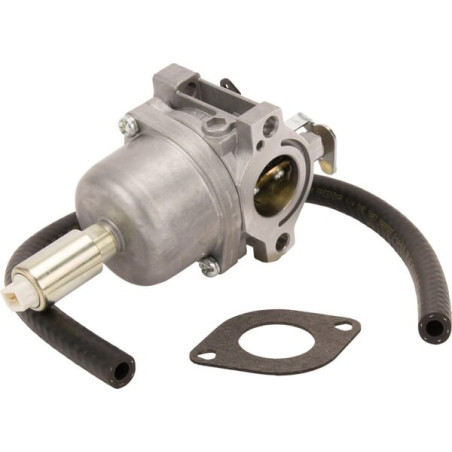 Carburateur BRIGGS ET STRATTON 593433