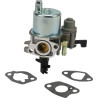 Carburateur BRIGGS ET STRATTON 593351