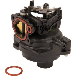 Carburateur BRIGGS ET STRATTON 593297