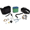 Carburateur BRIGGS ET STRATTON 591925