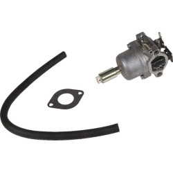 Carburateur BRIGGS ET STRATTON 590400