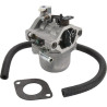 Carburateur BRIGGS ET STRATTON 590399