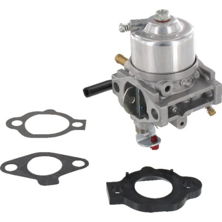Carburateur BRIGGS ET STRATTON 492256