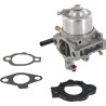 Carburateur BRIGGS ET STRATTON 492256