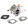 Carburateur BRIGGS ET STRATTON 491912WM
