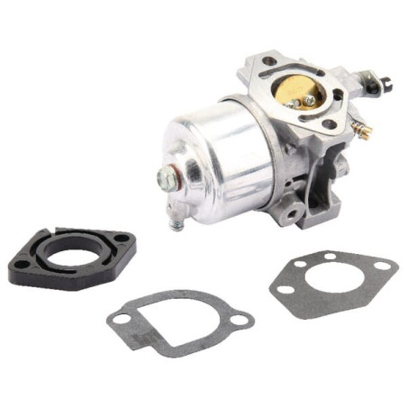 Carburateur BRIGGS ET STRATTON 491912WM