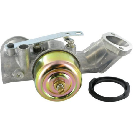 Carburateur BRIGGS ET STRATTON 491026