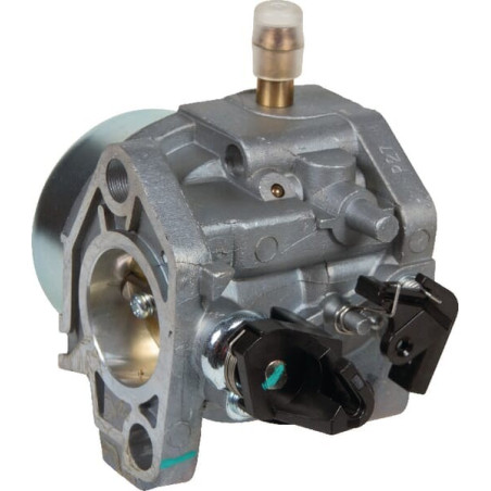 Carburateur AL-KO AK455229