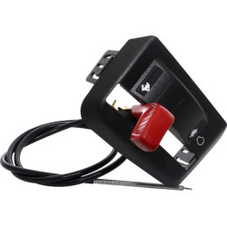 Câble d'accélérateur BRIGGS ET STRATTON 1738793YP