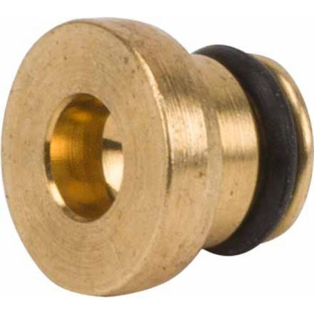 Buse principale BRIGGS ET STRATTON 796128
