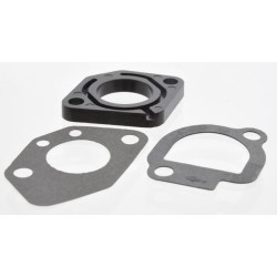 Buse d'injection BRIGGS ET STRATTON 491586
