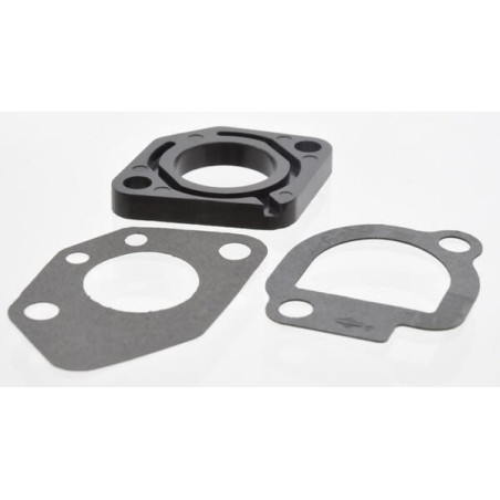 Buse d'injection BRIGGS ET STRATTON 491586