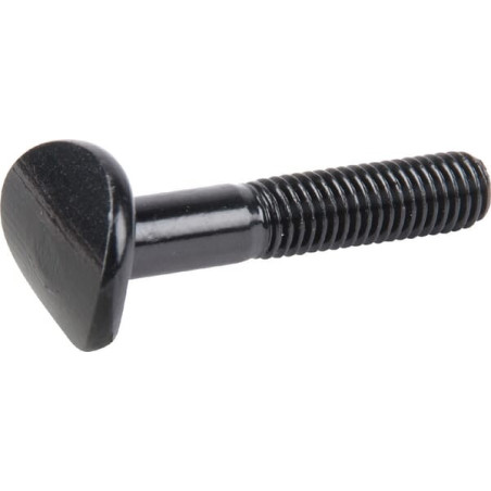 Boulon BRIGGS ET STRATTON 701250YP