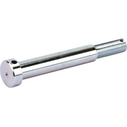 Boulon de mancheron AGRIA AGW69173